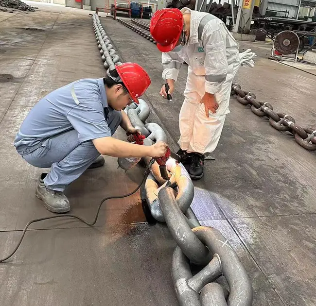 Dəniz dünyasının 